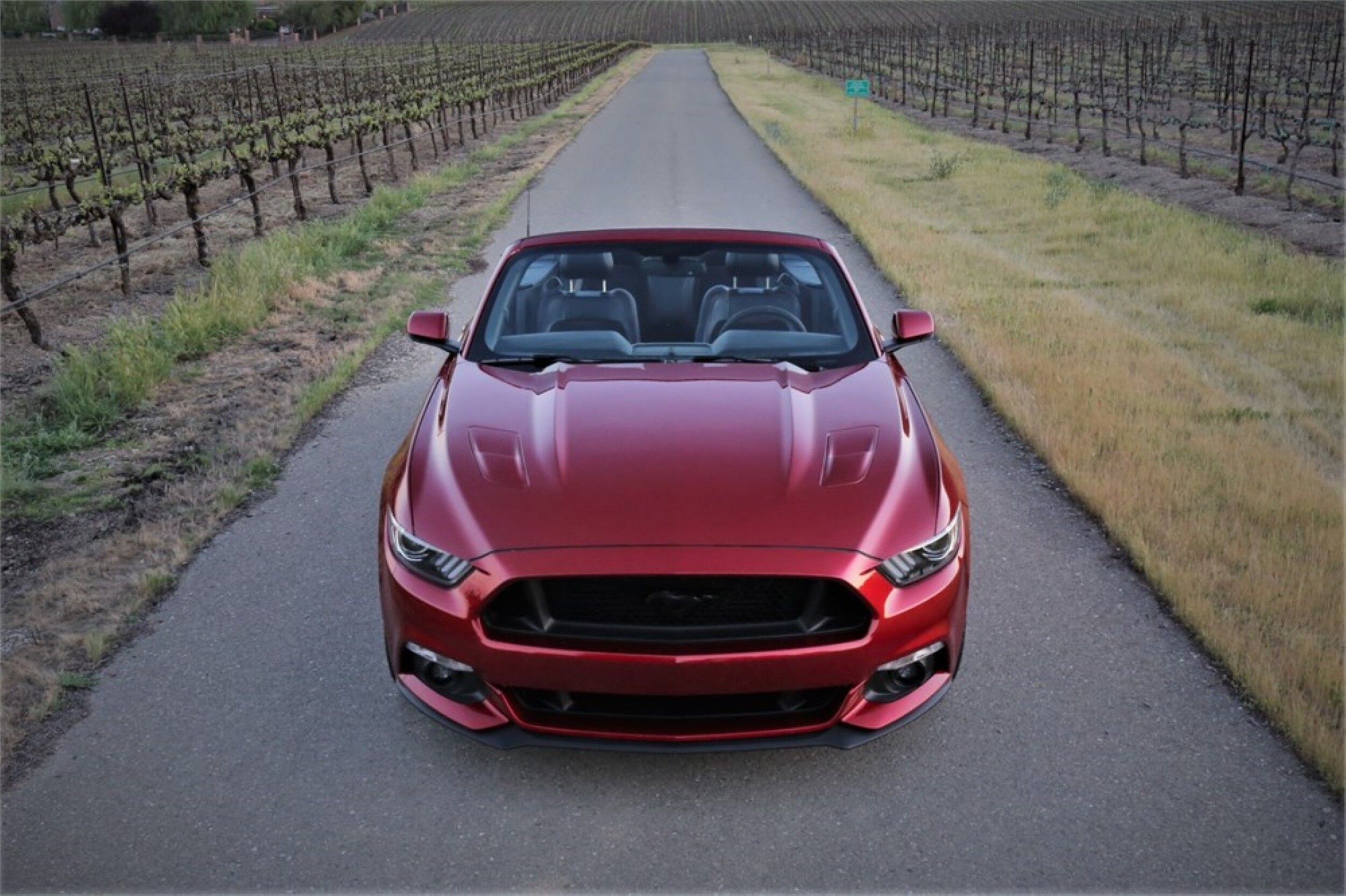Mustang 5.0 GT - Image 6