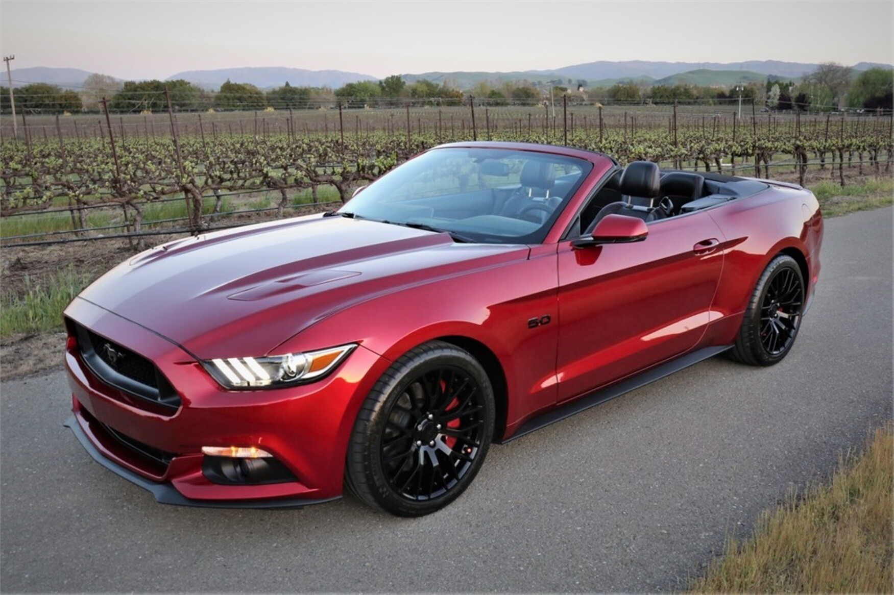 johannesburg luxury convertible mustang hire